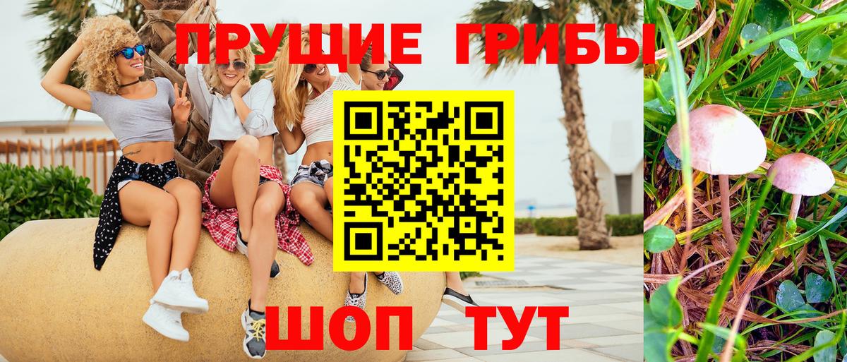 Апатиты  Псилоцибиновые грибы Psilocybe  цены наркотик  Вход с VPN 